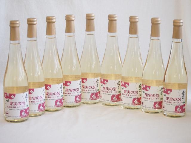 9本セット(果実の泡シードル 北海道林檎スパークリング(やや甘口)) 500ml×9本