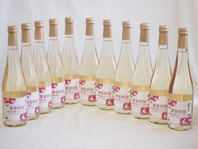11本セット(果実の泡シードル 北海道林檎スパークリング(やや甘口)) 500ml×11本