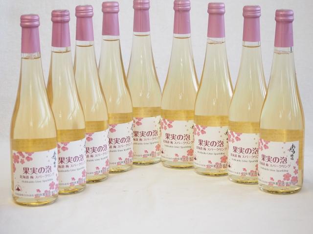 9本セット(果実の泡シードル 北海道梅スパークリング(やや甘口)) 500ml×9本