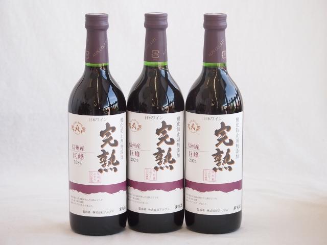 3本セット(信州産完熟巨峰 やや甘口赤ワイン ミディアム) 720ml×3本