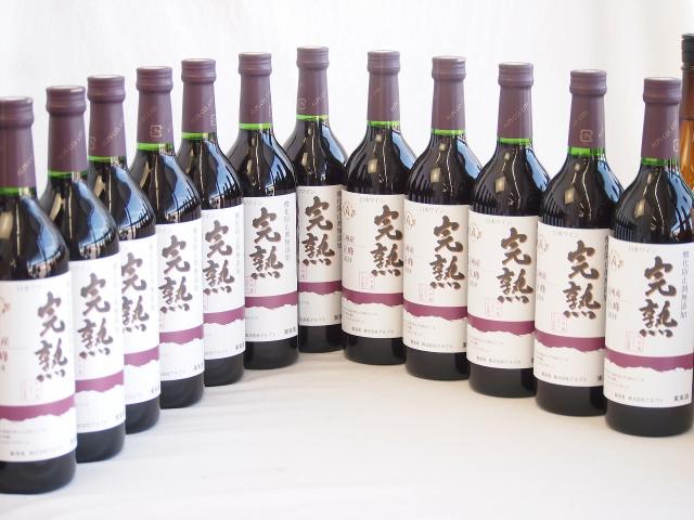 12本セット(信州産完熟巨峰 やや甘口赤ワイン ミディアム) 720ml×12本