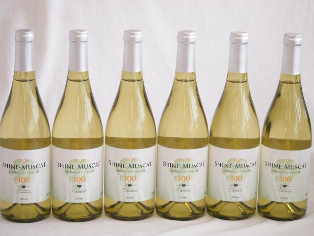 6本セット(シャインマスカット100ワインやや甘口(山梨県)) 750ml×6本 14,962円