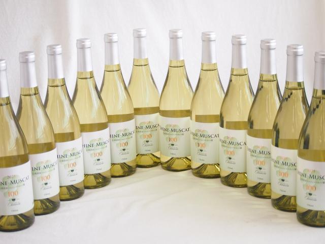 12本セット(シャインマスカット100ワインやや甘口(山梨県)) 750ml×12本