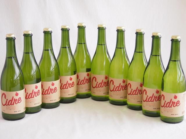 10本セット(長野県産りんご スペイン風シードル ストロングサワー 辛口) 750ml×10本