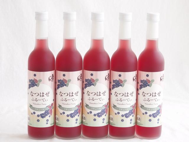 5本セット(奥の松リキュール なつはぜふるーてぃ (福島県)) 500ml×5本