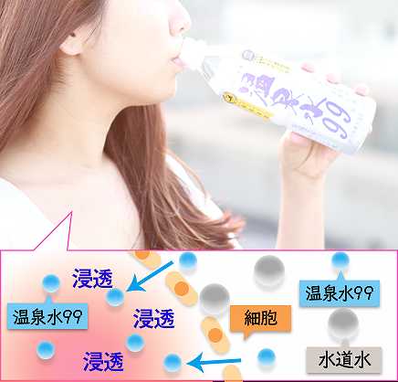 夏の贈り物お中元 感謝の贈り物ボックス 温泉水2本と国産ワインセット(MdV オアシス3 白スパークリングワイン辛口(長野県)750ml温泉水99 500ml×2本