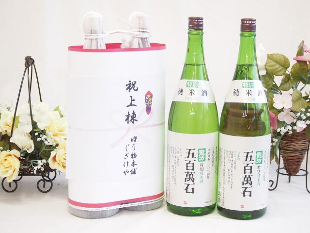 秋？セール分解整備済み YAMAHA ygx 112p オマケ付き ギター