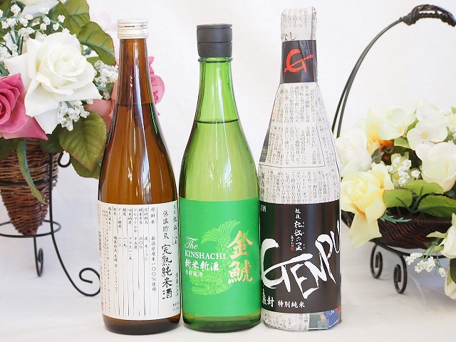 選りすぐり地酒3本セット(厳封 特別純米 ひやおろし低温貯蔵完熟純米 