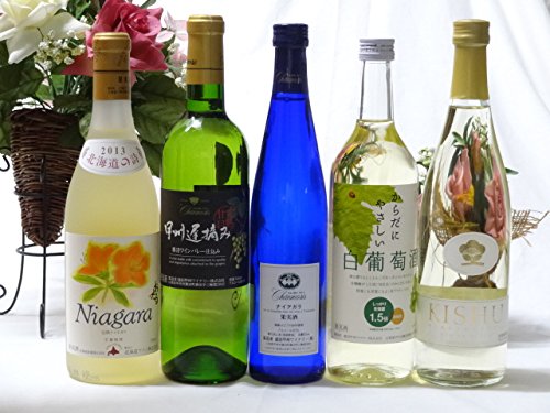 甘口白ワイン5本セット(ナイアガラ 遅摘み白 完熟ナイアガラ からだにやさしい白葡萄酒 梅ワイン) 500ml×1本 　720m 7,884円