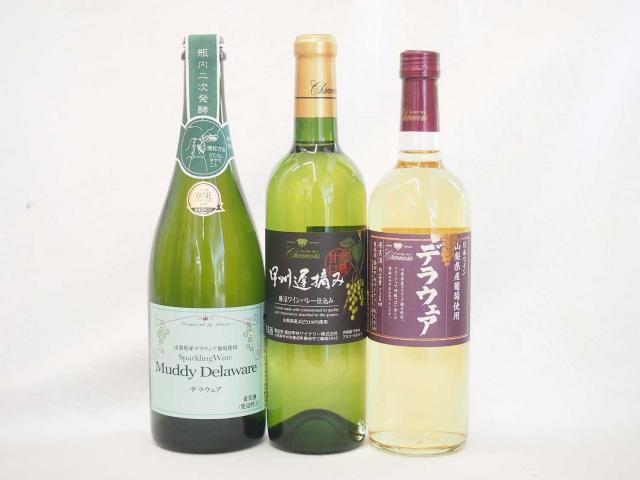 国産白ぶどうワイン3本セット　甲州遅摘み(甲州種)×1本　山梨産デラウェア×1本　マディデラウェアスパークリングワイン(デラウェア) 720ml×3本の通販は