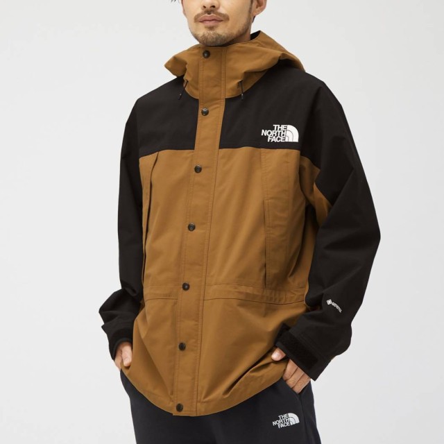 正規取扱店】ノースフェイス THE NORTH FACE Mountain Light Jacket