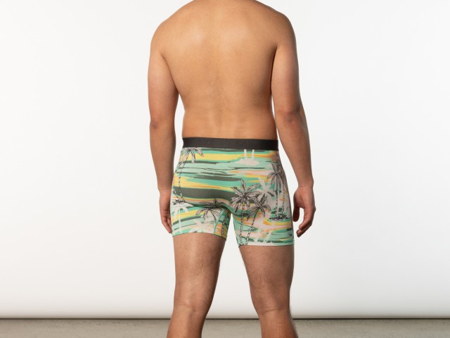 Saxx Saxx Underwear, Ultra Boxer Fly, Mens, HVM-Multi Havana