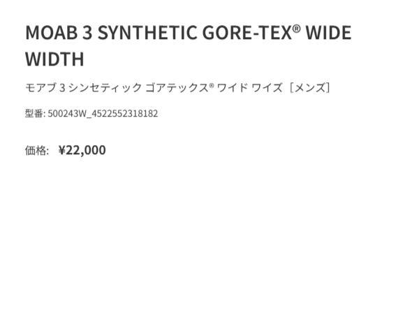 メレル MERRELL 【正規取扱販売店】モアブ 3 シンセティック ゴアテックス ワイド ワイズ メンズ 防水 登山 アウトドア ハイキング キャンプ 幅広 ゴアテックス シューズ スニーカー M500243W M500643W_6