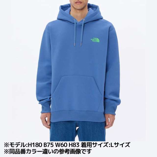 ノースフェイス THE NORTH FACE バックスクエアロゴフーディ メンズ