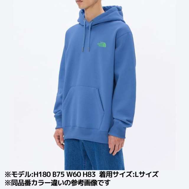 ノースフェイス THE NORTH FACE バックスクエアロゴフーディ メンズ