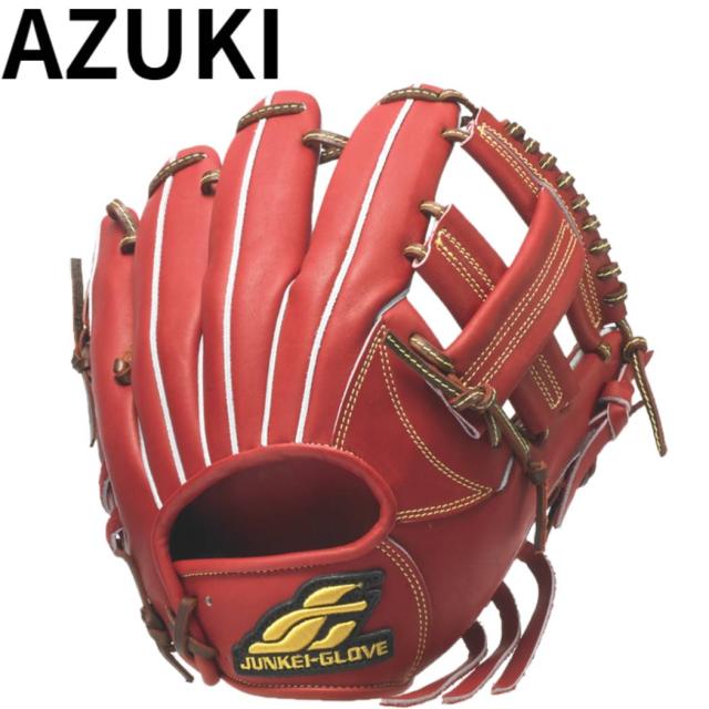 ジュンケイグラブ JUNKEI-GLOVE 専用グラブ袋付き STANDARD SERIES スタンダードシリーズ 硬式グラブ 内野手用 ユースモデル 野球 硬式 グローブ 内野手 ジュニア 子供 小学生 中学生 JG-Y4114_1