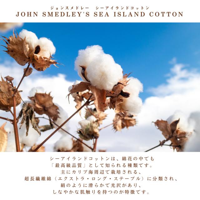 ジョンスメドレー JOHN SMEDLEY 【正規取扱い販売店】KIELL 半袖コットンニットＴシャツ メンズ 30G 30ゲージ シーアイランドコットン 綿 半袖シャツ ハイゲージ 天然素材 高品質 無地 上品 なめらかな肌触り KIELL_11