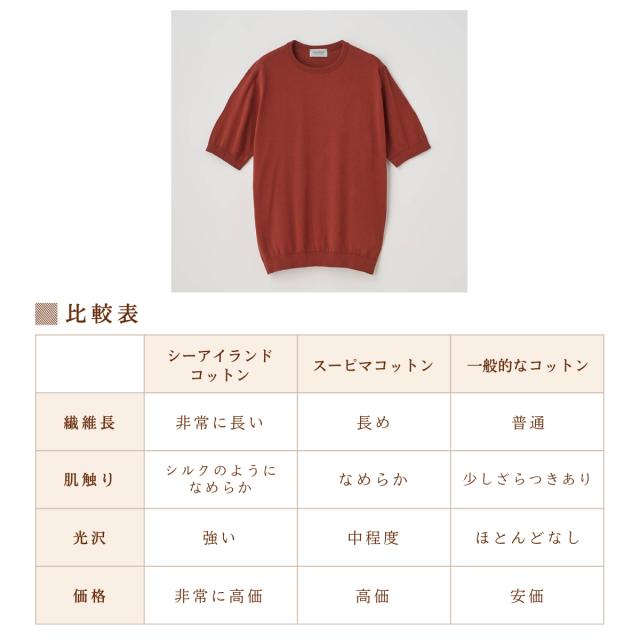 ジョンスメドレー JOHN SMEDLEY 【正規取扱い販売店】KIELL 半袖コットンニットＴシャツ メンズ 30G 30ゲージ シーアイランドコットン 綿 半袖シャツ ハイゲージ 天然素材 高品質 無地 上品 なめらかな肌触り KIELL_13