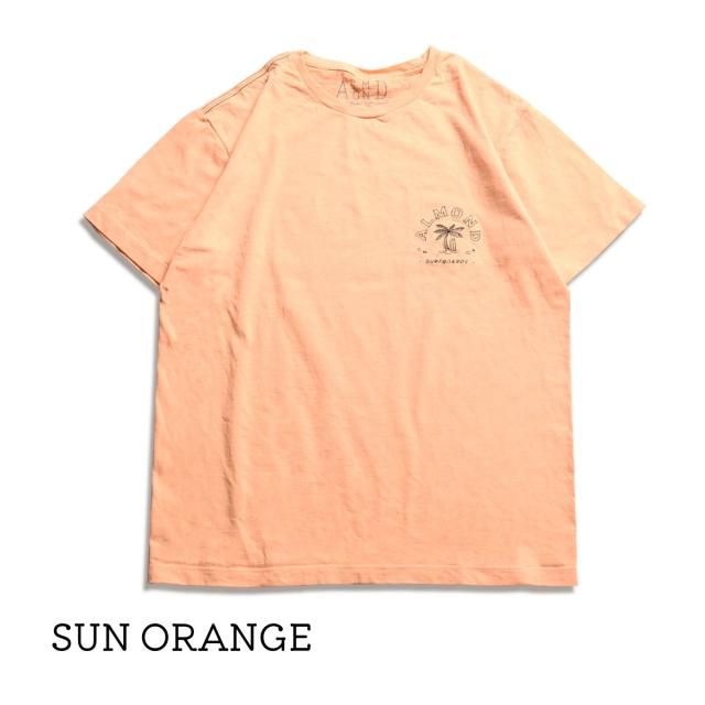 アーモンドサーフボードデザイン Almond Surfboards＆Design PARADISE