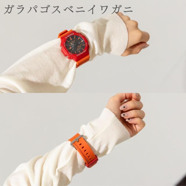 カシオ CASIO GA-B2100 ガラパゴス メンズ レディース ユニセックス 腕時計 アナログ デジタル スポーツ カジュアル 普段使いチャールズ・ダーウィン財団 コラボ ガラパゴスアホウドリ ガラパゴスベニイワガニ 防水 耐衝撃 スマホ連携 ソーラー充電 GA-B2100DF_11