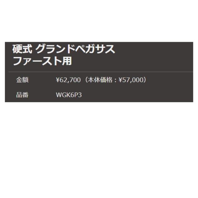 ワールドペガサス WORLD PEGASUS 専用グラブ袋付き グランドペガサス WAGYU 硬式用グラブ 一塁手用 一般 野球 硬式 グローブ ファーストミット WGK6P3_4