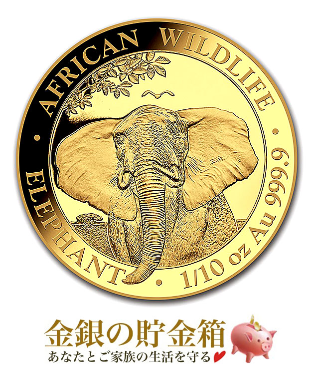 野生生物 象金貨 1/10オンス 2021年製 クリアケース入り 純金 コイン ソマリア発行