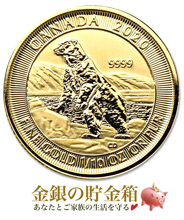 ホッキョクグマ金貨 1/10オンス 2020年製 クリアケース入り 純金 コイン カナダ王室造幣局 発行の通販は