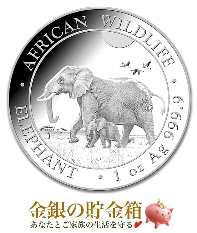 野生生物 象銀貨 1オンス 2022年製 クリアケース入り 純銀 コイン ソマリア発行