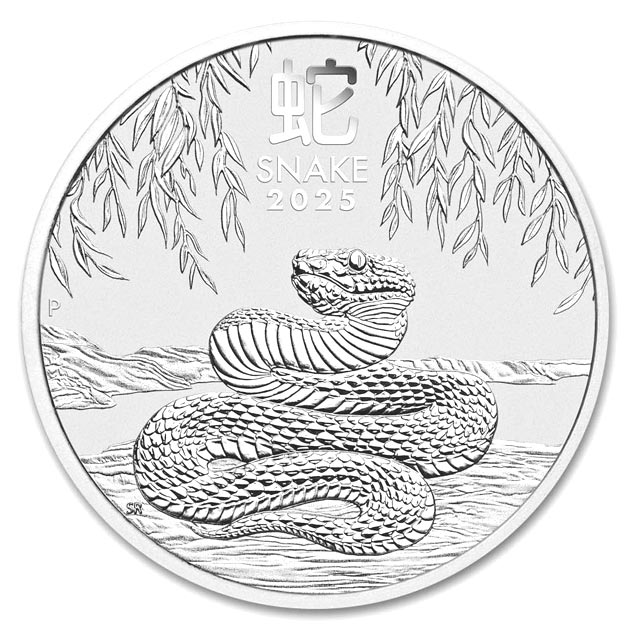 干支ヘビ銀貨 1オンス 2025年製 クリアケース入り   オーストラリアパース造幣局発行_2