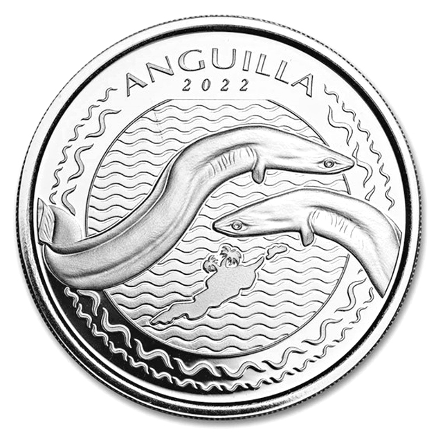 アンギラ ウナギ銀貨 1オンス 2022年製 クリアケース入り 純銀 コイン アンギラ発行_2