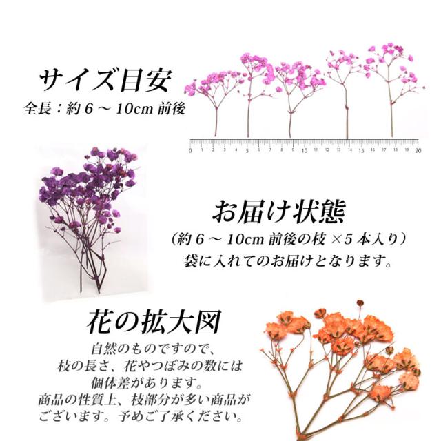 押し花 ドライプレスフラワー ミニかすみ草 全14色 5本入の通販はau Pay マーケット Kokonail