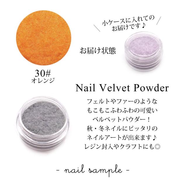 ネイル レジン デコなど 全31カラーセット ネイル ベルベット パウダー 素材の通販はau Pay マーケット Kokonail