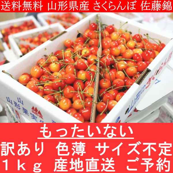送料無料 訳あり 山形県産 さくらんぼ 佐藤錦 1kg 産地直送 ご予約の通販はau PAY マーケット - 食品のネットスーパー・さんきん | au PAY マーケット-通販サイト
