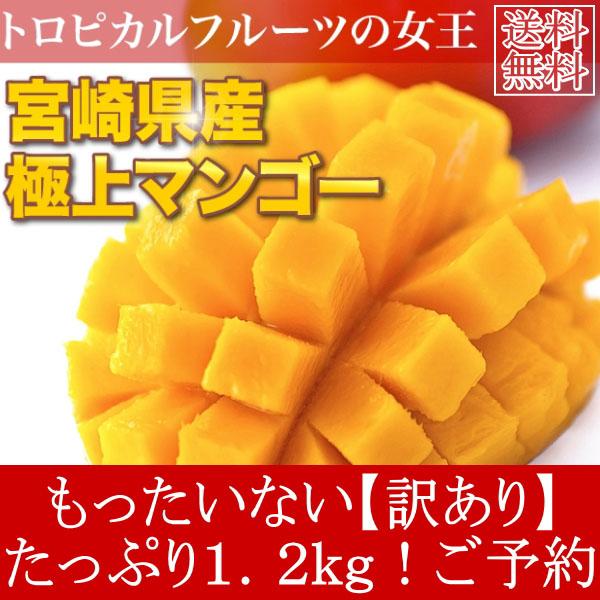 送料無料 訳あり 宮崎県産 完熟アップルマンゴー 宮崎マンゴー 約1 2kg ご予約の通販はau Pay マーケット 食品のネットスーパー さんきん 送料無料 訳あり 宮崎県産 完熟アップルマンゴー 宮崎マンゴー 約1 2kg ご予約の通販はau Pay マーケット 食品のネットスーパー さんきん