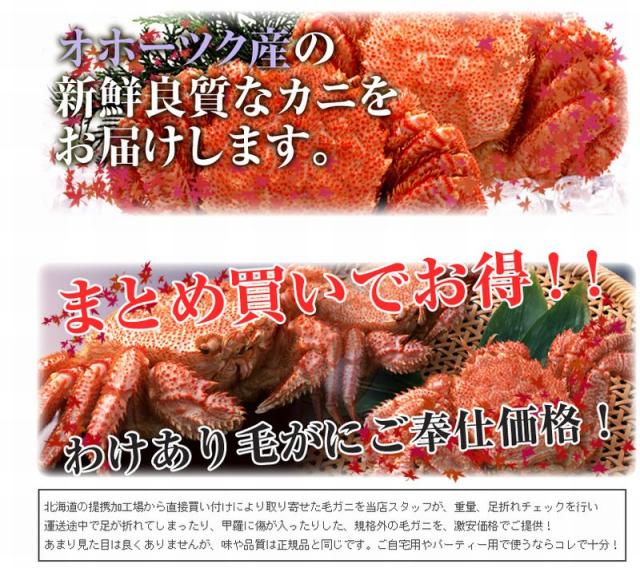 毛蟹姿350g×2尾【送料無料】北海道で水揚げ/毛がに/毛ガニ/かにみそ/カニ/かに/蟹/冷凍A_3