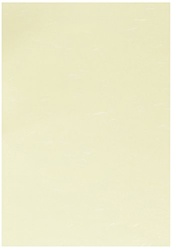 （まとめ買い）ヒサゴ クラッポイースト キ CE01A4 00060866 〔×3〕