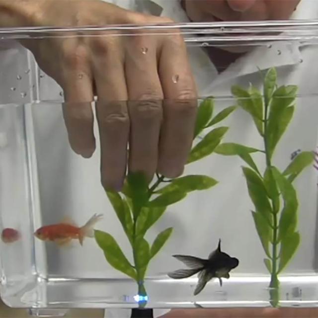 （まとめ買い）オリエントEP BONDIC 液体プラスチック接着剤 スターターキット BD-SKCJ 〔3個セット〕 【北海道・沖縄・離島配送不可】_7