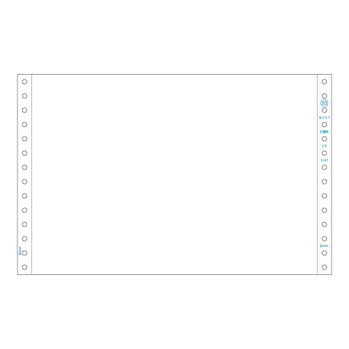ヒサゴ ドットプリンタ帳票 ストックフォーム B5ヨコ 白紙 2枚複写 250セット入 GB373