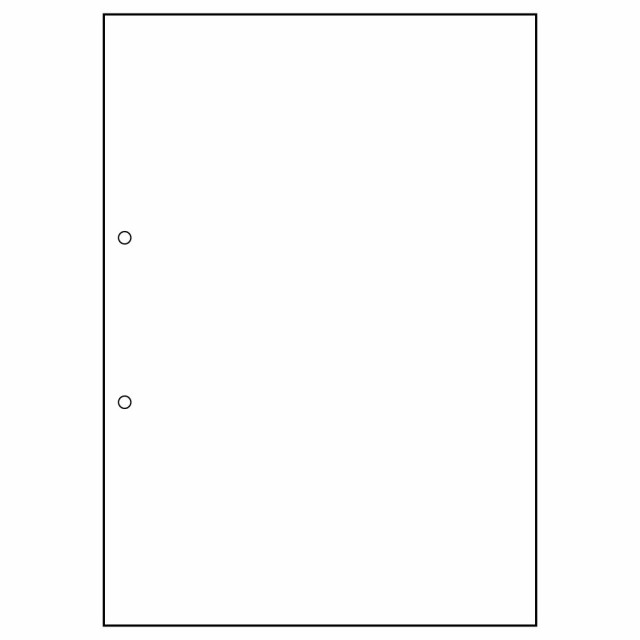 ヒサゴ FSC認証 マルチプリンタ帳票 A4 白紙 2穴 1200枚入 FSC2001Z