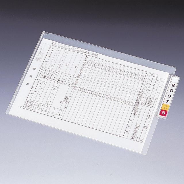（まとめ買い）リヒトラブ カルテフォルダー A4 クリスタルグリーン HK708-19 〔×3〕 【北海道・沖縄・離島配送不可】_3