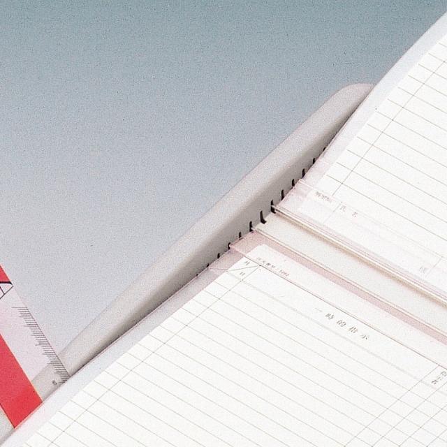 リヒトラブ カラーカードインデックスA3（A4タテ2面）11ポケット ブルー HC113C-2 1冊 リヒトラブ カラーカードインデックスA3（A4タテ2面）11ポケット