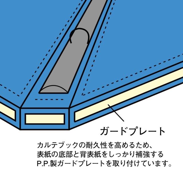 （まとめ買い）リヒトラブ カルテブック 厚型タイプ A4S 30穴 ライトブルー HB438-2 〔3冊セット〕 【北海道・沖縄・離島配送不可】_3