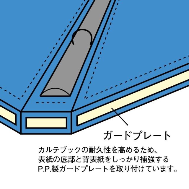 （まとめ買い）リヒトラブ カルテブック クリヤータイプ A4S 30穴 ブルー HB418-1 〔3冊セット〕 【北海道・沖縄・離島配送不可】_2