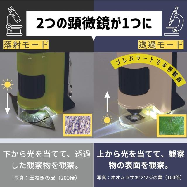 （まとめ買い）レイメイ藤井 ハンディ顕微鏡 DX グリーン RXT1144M 〔3個セット〕 【北海道・沖縄・離島配送不可】_1