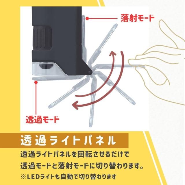 （まとめ買い）レイメイ藤井 ハンディ顕微鏡 DX グリーン RXT1144M 〔3個セット〕 【北海道・沖縄・離島配送不可】_2