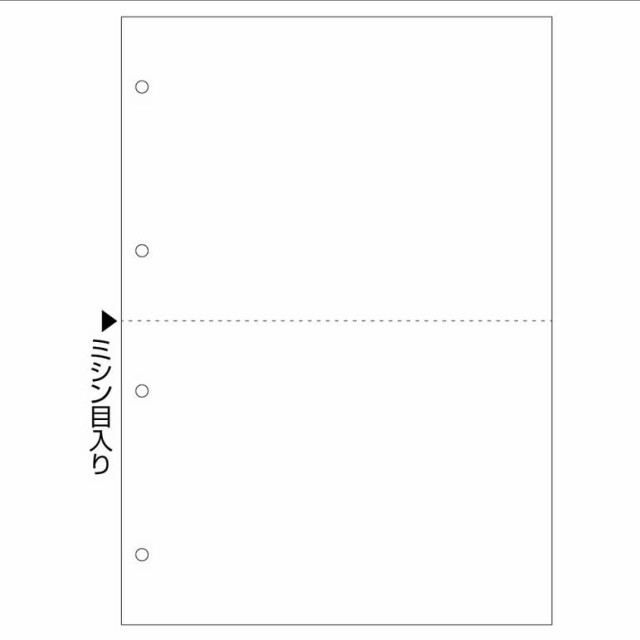 （まとめ買い）ヒサゴ FSC(R)認証 マルチプリンタ帳票 複写タイプ A4 ノーカーボン 白紙 2面 4穴 1200枚大入 FSCF2003Z 〔3冊セット〕