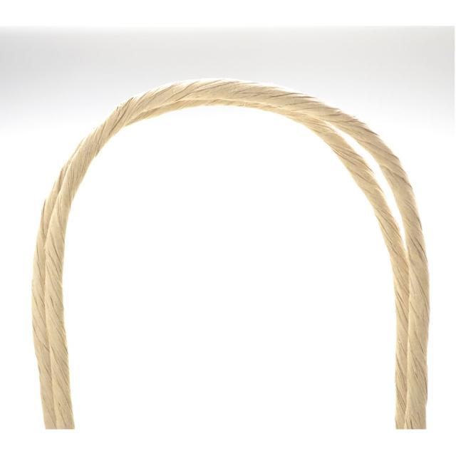 （まとめ買い）ササガワ 手提げ袋 エメラルド 幅260×マチ100×高さ310mm 50枚入 50-5108 〔×3〕の通販は