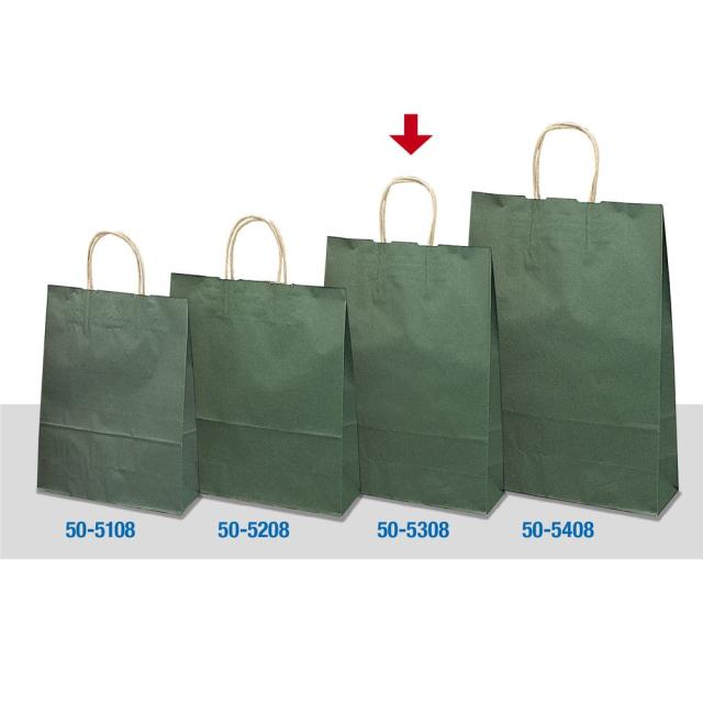 （まとめ買い）ササガワ 手提げ袋 エメラルド 幅320×マチ110×高さ400mm 50枚入 50-5308 〔×3〕 【北海道・沖縄・離島配送不可】_4