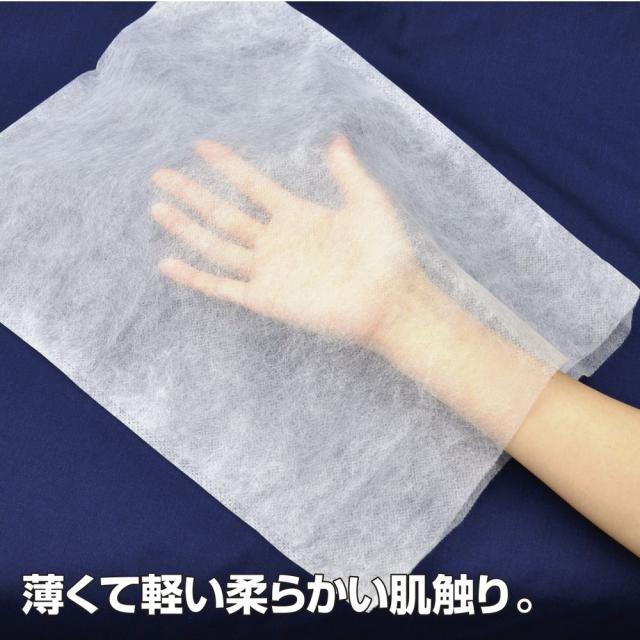 （まとめ買い）ササガワ 不織布製 内袋 中 100枚入 50-1261 〔×3〕 【北海道・沖縄・離島配送不可】_4