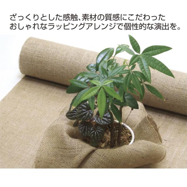 （まとめ買い）ササガワ ジュートクロス 麻クロス 幅650mm×5m 1本入 35-292 〔×3〕 【北海道・沖縄・離島配送不可】_6